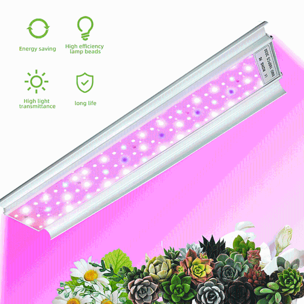 aluminum white led grow light full spectrum heat dissipation 50cm phyto lamps for aquarium plants seedlings flowers 100w
aluminum white led grow light full spectrum heat dissipation 50cm phyto lamps for aquarium plants seedlings flowers 100w