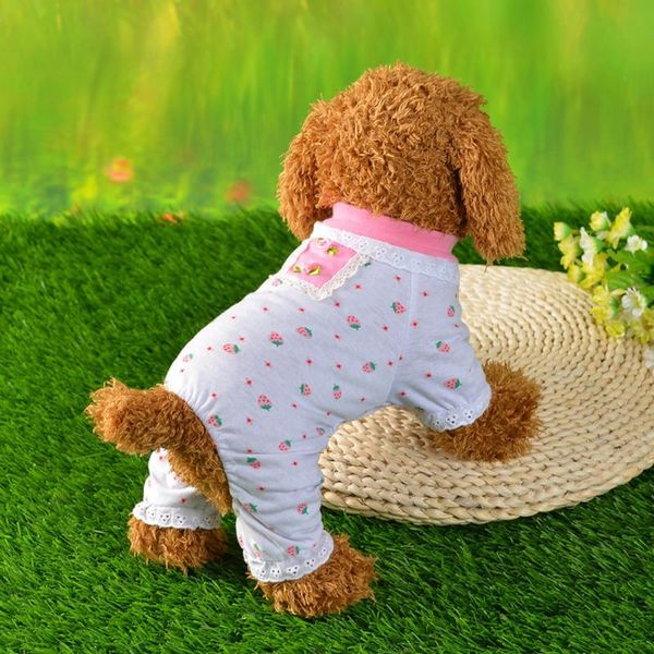 dog apparel 2021 printed pet clothing autumn winter puppy cat vest sportswear clothes soft cotton products
dog apparel 2021 printed pet clothing autumn winter puppy cat vest sportswear clothes soft cotton products