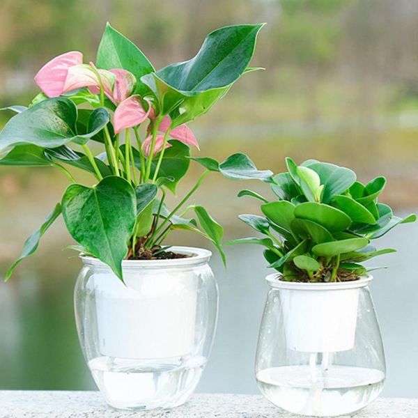 planters & pots transparent plantpot flowerpot self watering practical plastic flower pot with water tank hydroponic home office decor
planters & pots transparent plantpot flowerpot self watering practical plastic flower pot with water tank hydroponic home office decor