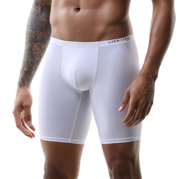 underpants underwear men boxer men's panties boxershorts long seamless nylon breathable homme, Black;white
underpants underwear men boxer men's panties boxershorts long seamless nylon breathable homme, Black;white
