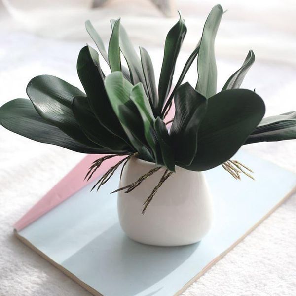 artificial green leaves butterfly orchid silk leaf fake plant decor green leaves for wedding decor diy wreath gift
artificial green leaves butterfly orchid silk leaf fake plant decor green leaves for wedding decor diy wreath gift