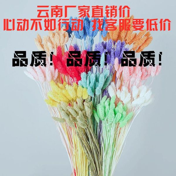 yunnan quality macarons hipster gemstone cao gan hua blue gemstone tail grass dried flower vase flower arrangement bouque
yunnan quality macarons hipster gemstone cao gan hua blue gemstone tail grass dried flower vase flower arrangement bouque