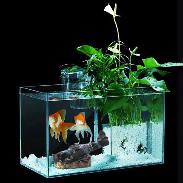decorations resin airplane model for home garden fish tank decoration landscape use soft water and clean
decorations resin airplane model for home garden fish tank decoration landscape use soft water and clean