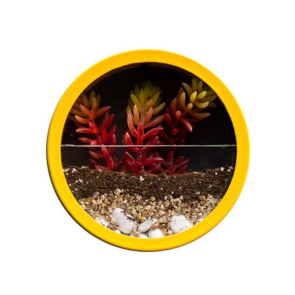 decorative flowers & wreaths 8inch round hanging wall vase planter for succulents herbs decor (yellow)
decorative flowers & wreaths 8inch round hanging wall vase planter for succulents herbs decor (yellow)