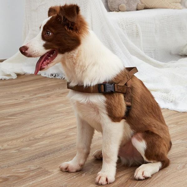 dog collars & leashes pet chest harness cat and vest breathable adjustablepet strap
dog collars & leashes pet chest harness cat and vest breathable adjustablepet strap