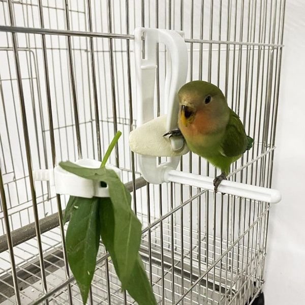 other bird supplies birds food holder pet parrot feeding fruit vegtable clip cuttlefish bone feeder
other bird supplies birds food holder pet parrot feeding fruit vegtable clip cuttlefish bone feeder