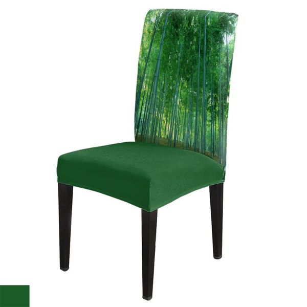 chair covers dining room cover green bamboo forest nature landscape table chairs for kitchen tablecloth home decor
chair covers dining room cover green bamboo forest nature landscape table chairs for kitchen tablecloth home decor