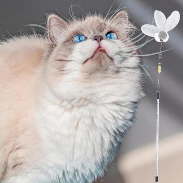 cat toys pet supplies harmless feather wand toy creative teaser with bells for casual
cat toys pet supplies harmless feather wand toy creative teaser with bells for casual