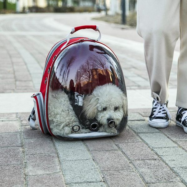 backpack transparent pet 2021 cat bag space large capacity simple cabin go out portable shoulder dog breathable
backpack transparent pet 2021 cat bag space large capacity simple cabin go out portable shoulder dog breathable