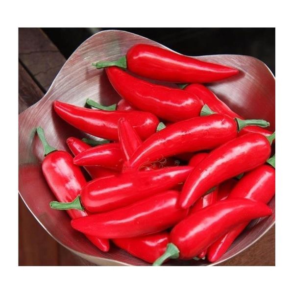 artificial simulation red pepper plastic chili artificial vegetables pgraphy props christmas ornaments wedddi jllsin soif
artificial simulation red pepper plastic chili artificial vegetables pgraphy props christmas ornaments wedddi jllsin soif