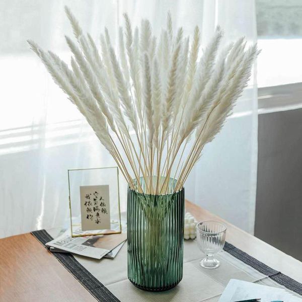 bulrush natural dried flowers artificial plants branch colorful ins pampas grass phragmites fake flower wedding home decoration
bulrush natural dried flowers artificial plants branch colorful ins pampas grass phragmites fake flower wedding home decoration