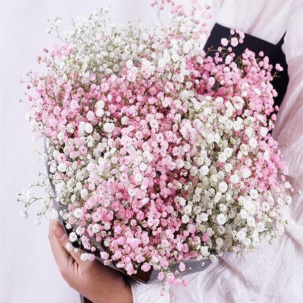 decorative flowers & wreaths dried preserved natural fresh gypsophila paniculata baby's breath flower bouquets gift for wedding decorat
decorative flowers & wreaths dried preserved natural fresh gypsophila paniculata baby's breath flower bouquets gift for wedding decorat