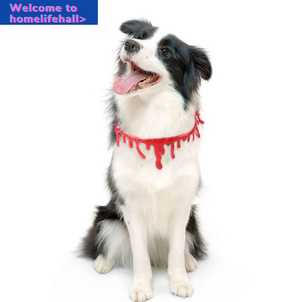 suppliescreative clothes hooded clothing blood dripping necklace jewelry dog halloween bleeding pendant cat simulation
suppliescreative clothes hooded clothing blood dripping necklace jewelry dog halloween bleeding pendant cat simulation