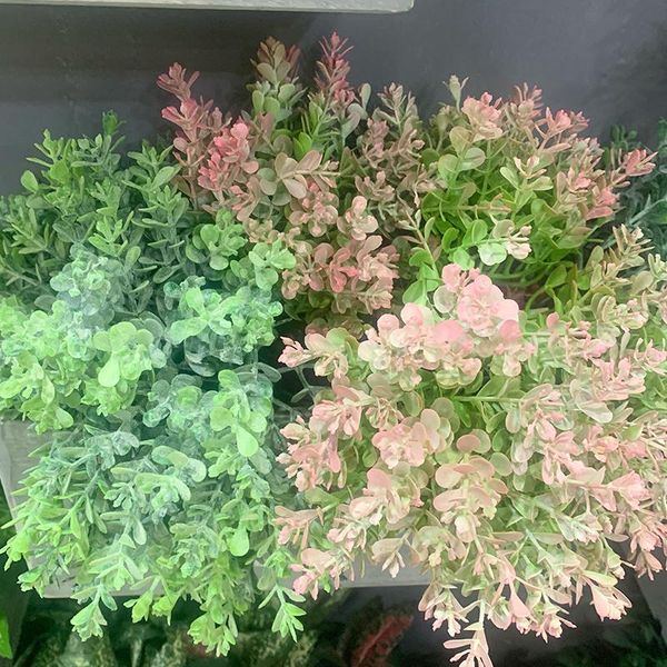 decorative flowers & wreaths water grass, eucalyptus, plastic artificial plant, green flower factory, wedding home decoration table, eucalyp
decorative flowers & wreaths water grass, eucalyptus, plastic artificial plant, green flower factory, wedding home decoration table, eucalyp