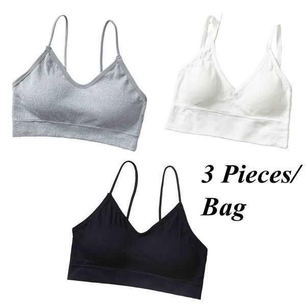 yoga outfit 3pcs push up bras female breathable padded training solid wireless quick dry running vest fitness lingerie
yoga outfit 3pcs push up bras female breathable padded training solid wireless quick dry running vest fitness lingerie