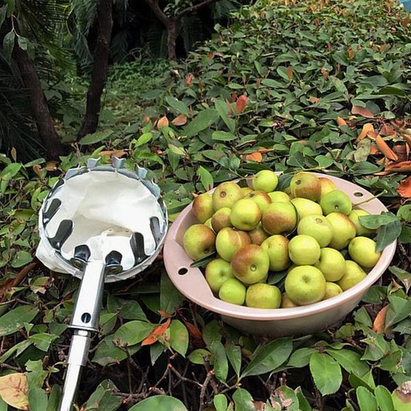professional hand tool sets fruit picker for picking berries comb agricultural hardware tools device orchard garden jardim apanhador de frut
professional hand tool sets fruit picker for picking berries comb agricultural hardware tools device orchard garden jardim apanhador de frut