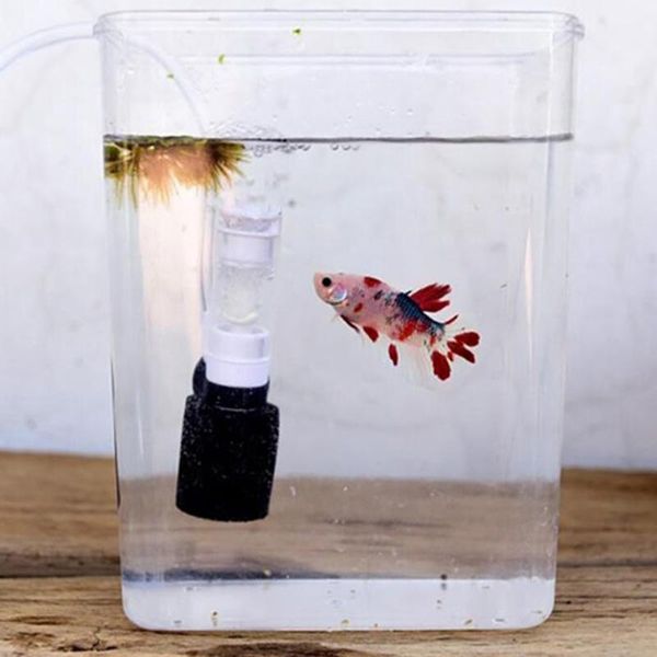 external aquarium filter mini filter oxygen pump accessories small pneumatic aquarium mute submersible
external aquarium filter mini filter oxygen pump accessories small pneumatic aquarium mute submersible