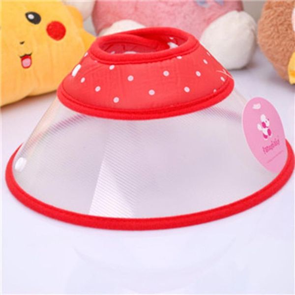 dog apparel pet protector cat ring anti-bite collar beauty shield cover adjustable safety supplies
dog apparel pet protector cat ring anti-bite collar beauty shield cover adjustable safety supplies