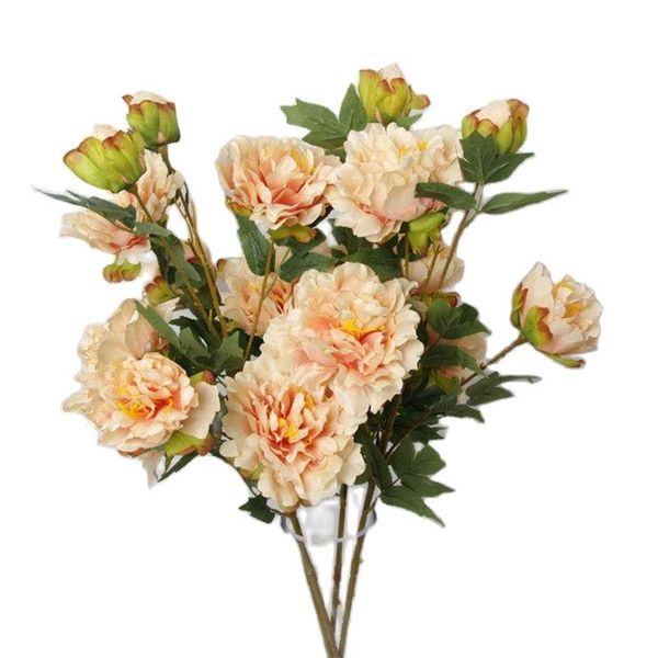 decorative flowers & wreaths 7pcs fake long stem spring peony (5 heads/piece) 34" length simulation peonia for wedding home artificial
decorative flowers & wreaths 7pcs fake long stem spring peony (5 heads/piece) 34" length simulation peonia for wedding home artificial