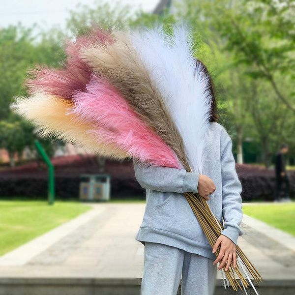 decorative flowers & wreaths 120cm natural reed bouquet artificial pampas grass dried flower for home room decor wedding birthday party fake
decorative flowers & wreaths 120cm natural reed bouquet artificial pampas grass dried flower for home room decor wedding birthday party fake