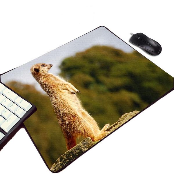 mouse pads & wrist rests small size animals meerkat pet cat dog rubber soft pc computer game gamer player pad for decorate table desktop
mouse pads & wrist rests small size animals meerkat pet cat dog rubber soft pc computer game gamer player pad for decorate table desktop