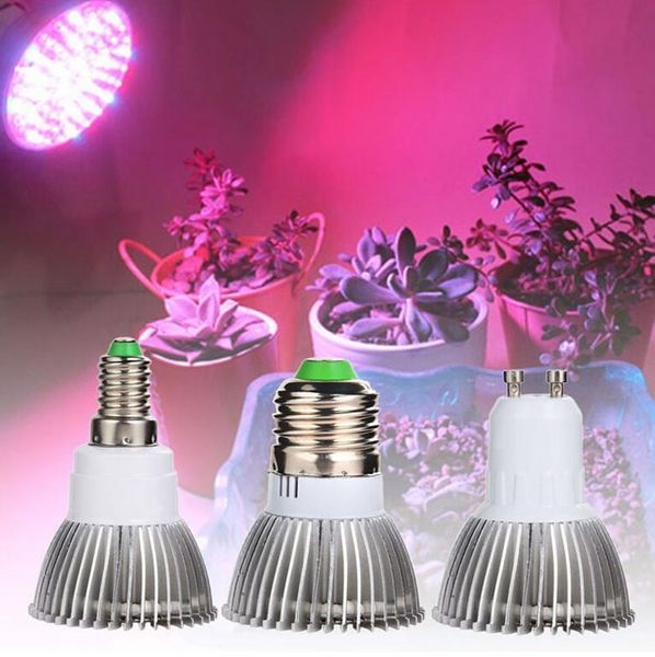 bulbs canling phyto lamps full spectrum e27 led plant light grow lamp e14 for plants 5w 7w fitolampy greenhouse tent uv ir
bulbs canling phyto lamps full spectrum e27 led plant light grow lamp e14 for plants 5w 7w fitolampy greenhouse tent uv ir