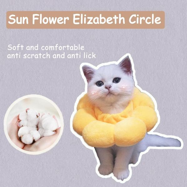 cat collars & leads sunflower elizabethan circle pet soft head cover dog universal sterilization anti lick scratch size adjustable
cat collars & leads sunflower elizabethan circle pet soft head cover dog universal sterilization anti lick scratch size adjustable