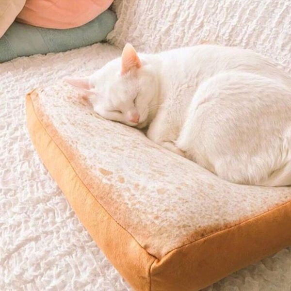 creative toast bread shape pet mat cushion sponge soft comfortable pet dog cat pad pets mats supplies
creative toast bread shape pet mat cushion sponge soft comfortable pet dog cat pad pets mats supplies