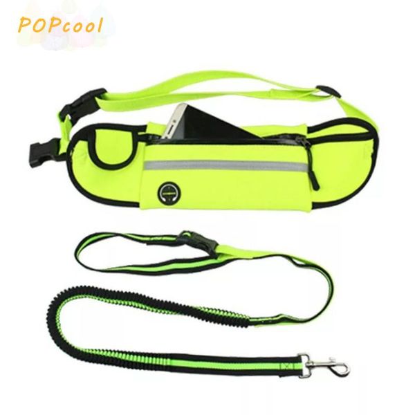 dog collars & leashes leads harnesses waist waterproof pockets running jogging chain for large dogs puppy traction rope pet supplies
dog collars & leashes leads harnesses waist waterproof pockets running jogging chain for large dogs puppy traction rope pet supplies
