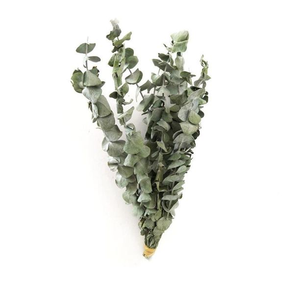 1 bunch natural eucalyptus leaves branches real palnt flower eucalyptus diy natural dried leaves decor party branches weddi h2e4
1 bunch natural eucalyptus leaves branches real palnt flower eucalyptus diy natural dried leaves decor party branches weddi h2e4