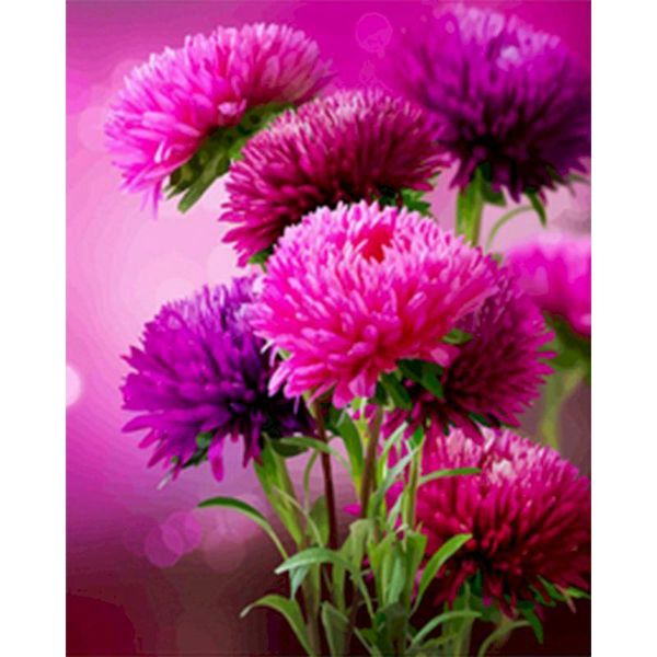 paintings gatyztory 60x75cm frame diy painting by numbers handpainted purple flower oil canvas colouring wall decor
paintings gatyztory 60x75cm frame diy painting by numbers handpainted purple flower oil canvas colouring wall decor