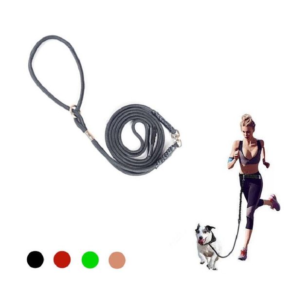 youse pet dog leash traction rope chain large dog collar p harness comfortable nylon adjustable training leash 4colors
youse pet dog leash traction rope chain large dog collar p harness comfortable nylon adjustable training leash 4colors