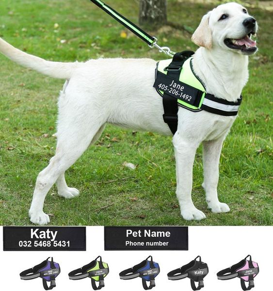 personalized custom reflective breathable dog harness no pull adjustable pet harness for small large dog vest with patch
personalized custom reflective breathable dog harness no pull adjustable pet harness for small large dog vest with patch