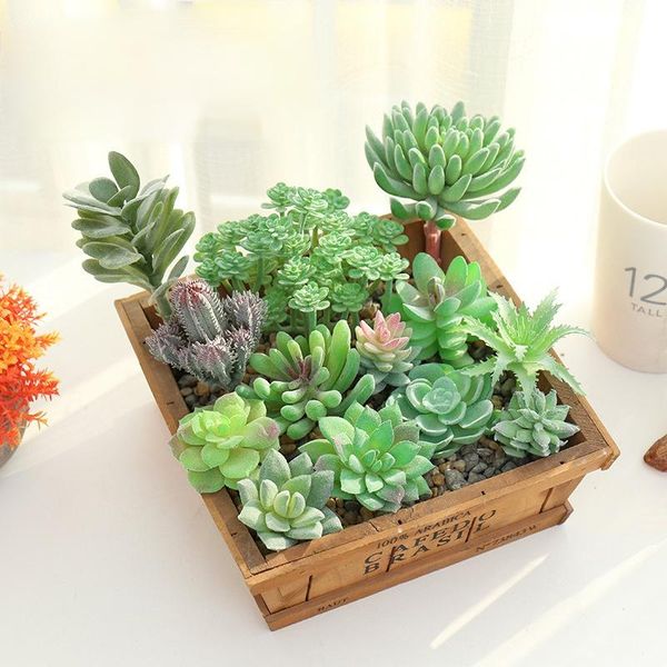 decorative flowers & wreaths succulents artificial plants plastic for home decor wedding party decoration
decorative flowers & wreaths succulents artificial plants plastic for home decor wedding party decoration