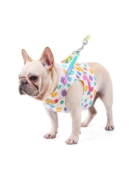 dog collars & leashes cat vest harness with leash pet kit for small dogs
dog collars & leashes cat vest harness with leash pet kit for small dogs