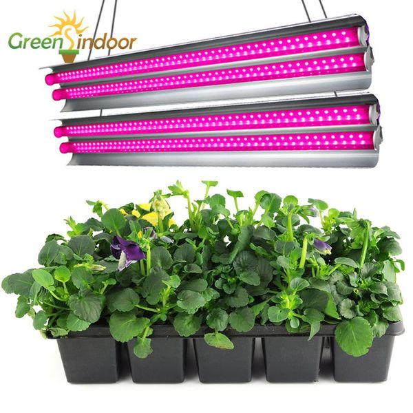 greenhouse phyto lamp for vegetables flowers indoor hydroponics phytolamp for plants grow tent lamp seedings led light bars
greenhouse phyto lamp for vegetables flowers indoor hydroponics phytolamp for plants grow tent lamp seedings led light bars