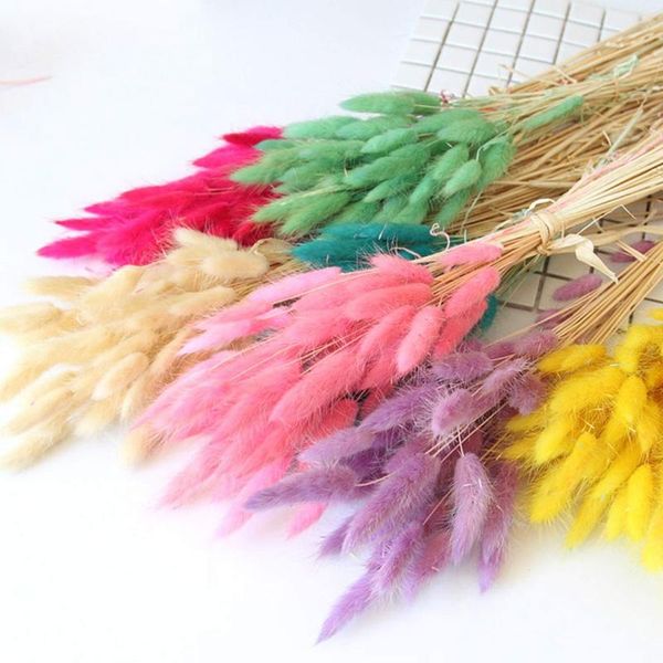 Decorative Flowers & Wreaths 30PCS Tail Grass Natural Dried Plant Material With Tails Flower Bouquet Pastoral Style Home Suppli
Decorative Flowers & Wreaths 30PCS Tail Grass Natural Dried Plant Material With Tails Flower Bouquet Pastoral Style Home Suppli