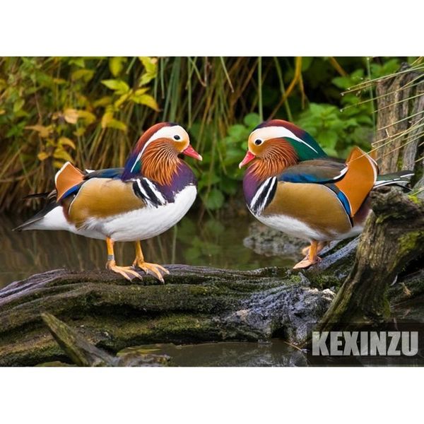 diamond painting mandarin duck,needlework embroidery 5d diy santa claus home rhinestone cross stitch room decoration art c-123
diamond painting mandarin duck,needlework embroidery 5d diy santa claus home rhinestone cross stitch room decoration art c-123