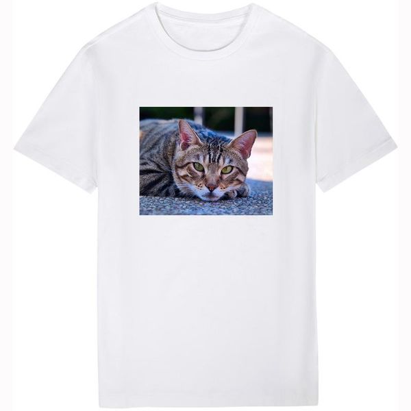 men's t-shirts 2021 round neck t shirt customized print tshirt men diy your own po or logo tees t-shirt women oversize cat, White;black
men's t-shirts 2021 round neck t shirt customized print tshirt men diy your own po or logo tees t-shirt women oversize cat, White;black