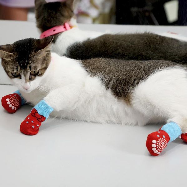 dog apparel 4pcs/set cute puppy knit socks small dogs cotton anti-slip cat shoes for autumn winter indoor wear slip on protector
dog apparel 4pcs/set cute puppy knit socks small dogs cotton anti-slip cat shoes for autumn winter indoor wear slip on protector