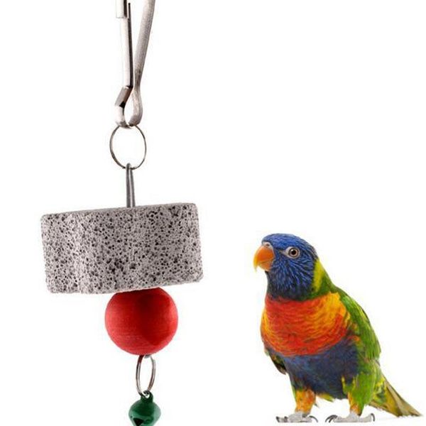 other bird supplies stone mineral for parrot pet birds minerals chewing toy hanging cage toys multifunction accessories
other bird supplies stone mineral for parrot pet birds minerals chewing toy hanging cage toys multifunction accessories