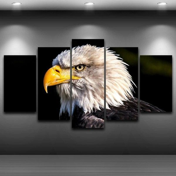 paintings 5 pieces bald eagle wildlife animal pcs canvas pictures print wall art decor for living room no framed
paintings 5 pieces bald eagle wildlife animal pcs canvas pictures print wall art decor for living room no framed