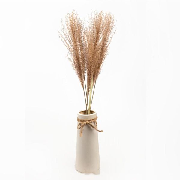 decorative flowers & wreaths natural dress up horsetail whisk wild real plants small reed pampas grass dried flower home window wedding phra
decorative flowers & wreaths natural dress up horsetail whisk wild real plants small reed pampas grass dried flower home window wedding phra