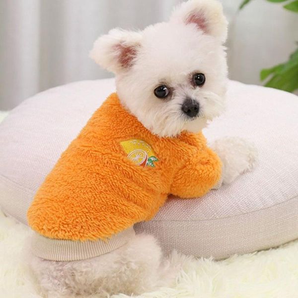 dog apparel year autumn and winter multi-size pet clothes small sweater cute two-legged
dog apparel year autumn and winter multi-size pet clothes small sweater cute two-legged