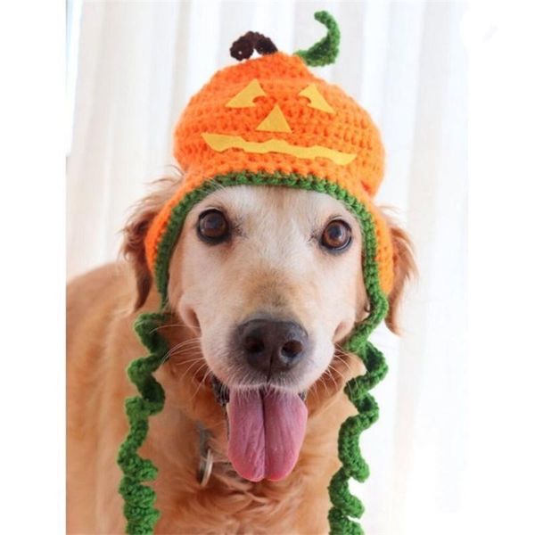 cat costumes cute pet halloween holiday dress up golden retriever pumpkin hat big dogs pograph funny accessories for hats costume
cat costumes cute pet halloween holiday dress up golden retriever pumpkin hat big dogs pograph funny accessories for hats costume