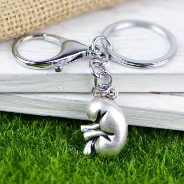 keychains tkuamigo trend punk anatomical kidney keychain human anatomy biology jewelry renal nephrologist gift for encourage 18*25mm, Silver
keychains tkuamigo trend punk anatomical kidney keychain human anatomy biology jewelry renal nephrologist gift for encourage 18*25mm, Silver