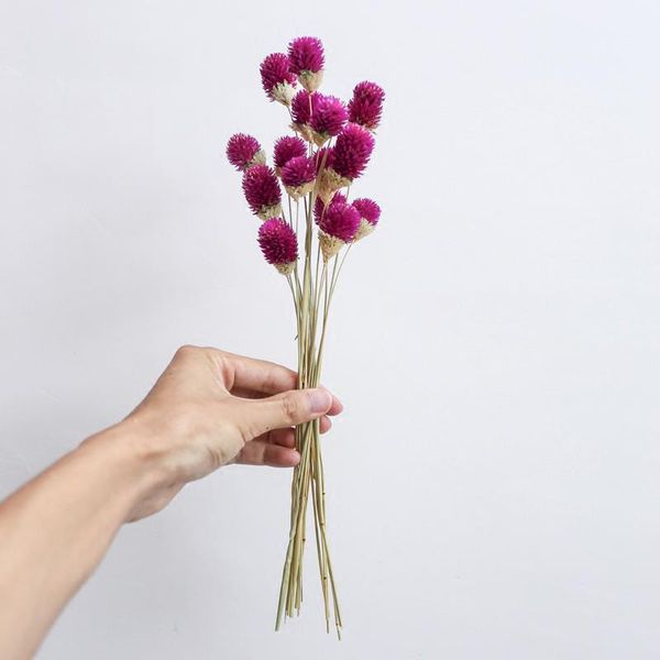 15pcs natural dried flowers preserved amaranth bouquet diy floral arrangement creative gifts ins home wedding table decoration
15pcs natural dried flowers preserved amaranth bouquet diy floral arrangement creative gifts ins home wedding table decoration