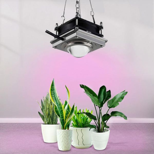 grow light full spectrum lamp for plants flowers seedling cultivation phyto usa greenhouse growing lights
grow light full spectrum lamp for plants flowers seedling cultivation phyto usa greenhouse growing lights