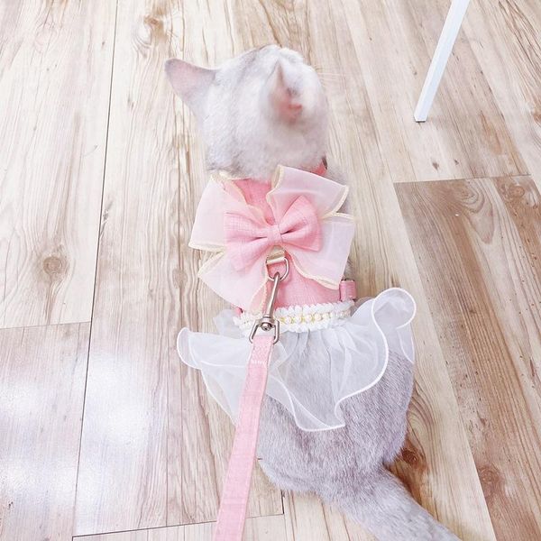 cat collars & leads harness and leash princess bow lace dress pet clothes teddy fairy walking rope vest cute collar accessories
cat collars & leads harness and leash princess bow lace dress pet clothes teddy fairy walking rope vest cute collar accessories