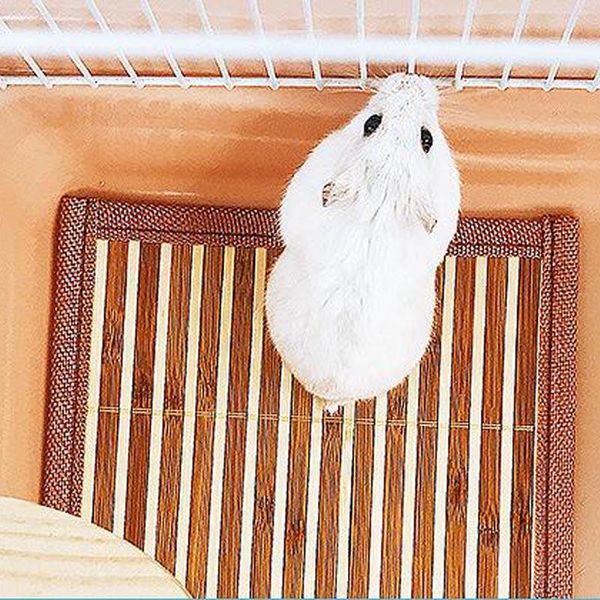 small animal supplies summer hamster cooling mat bamboo square sleeping bed squirrel hedgehog guinea pig pet pad plate cage accessories
small animal supplies summer hamster cooling mat bamboo square sleeping bed squirrel hedgehog guinea pig pet pad plate cage accessories
